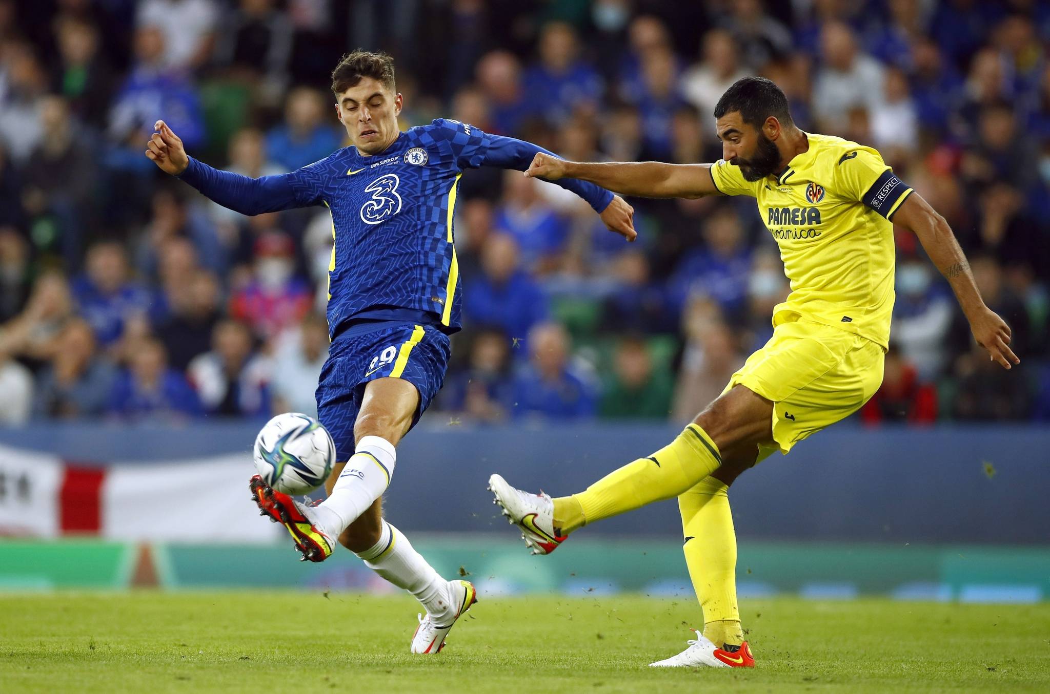 他似乎已经 他似乎已经